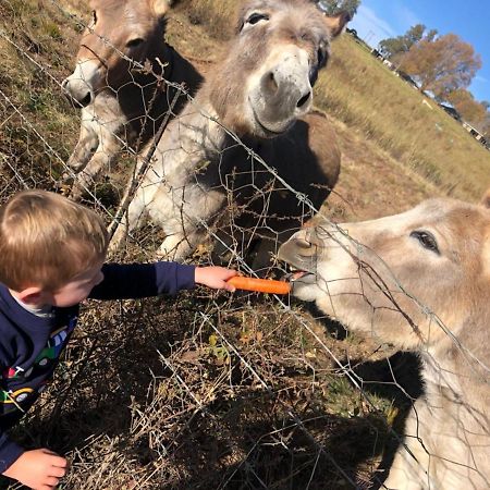 Blackbrook Farm Underberg Bagian luar foto