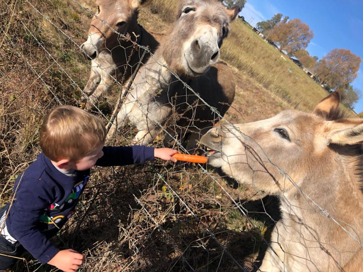 Blackbrook Farm Underberg Bagian luar foto