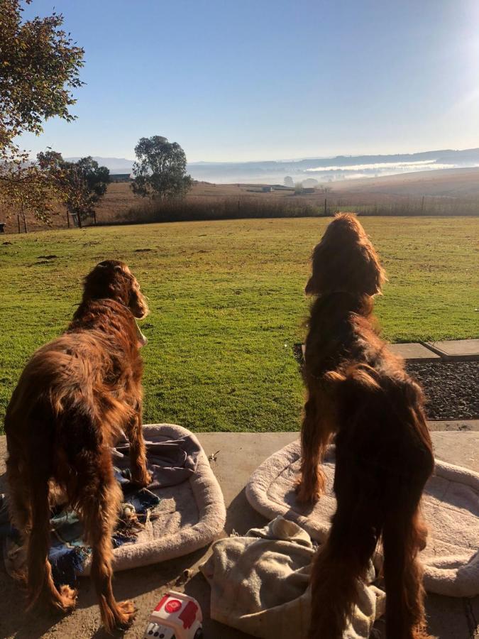 Blackbrook Farm Underberg Bagian luar foto