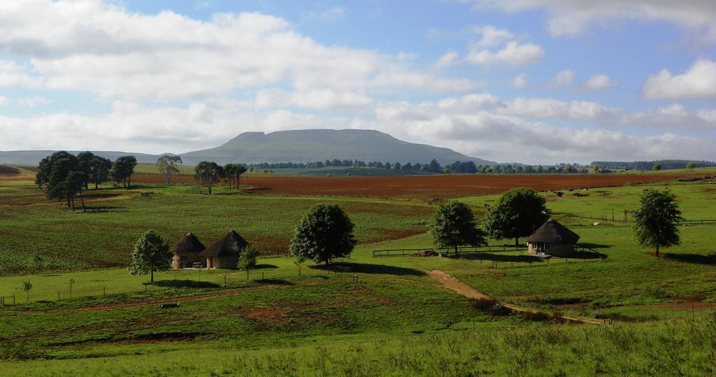 Blackbrook Farm Underberg Bagian luar foto
